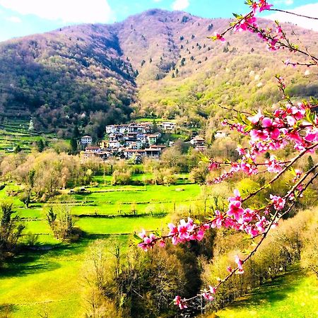 فيلا Casa Sittaro Grimacco المظهر الخارجي الصورة